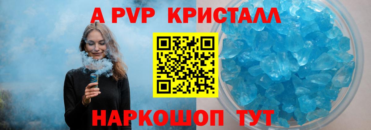 Альфа ПВП СК Грозный