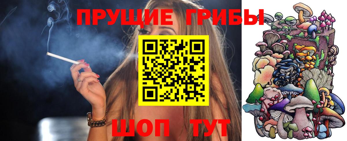 Галлюциногенные грибы мухоморы Грозный