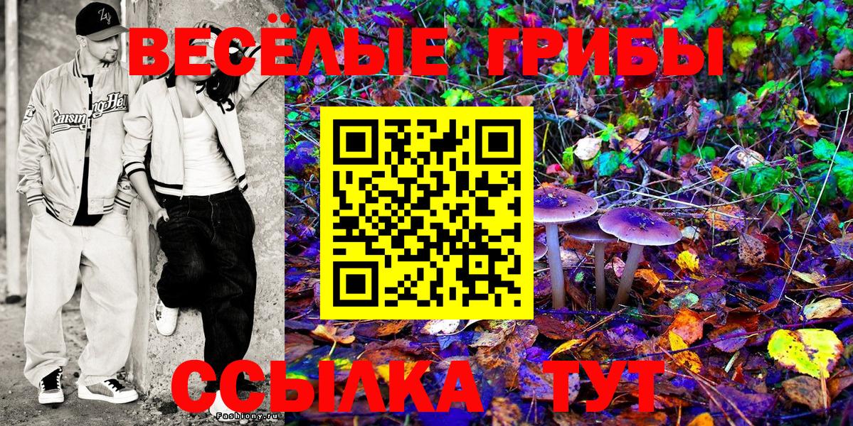 Грозный  закладки  Вход с VPN  Псилоцибиновые грибы Psilocybine cubensis  Галлюциногенные грибы прущие грибы 
