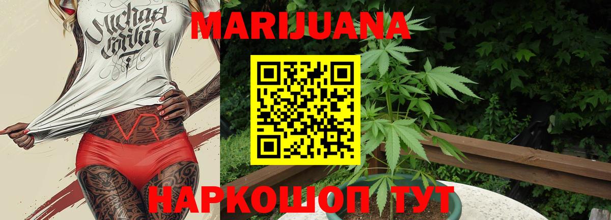Марихуана марихуана  Вход с VPN  Грозный  Каннабис планчик 
